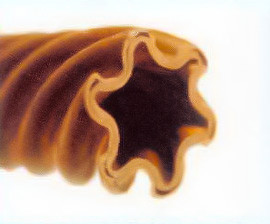 img_heat_transfer